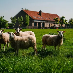 Hotel Hoevehotel Ter Haeghe